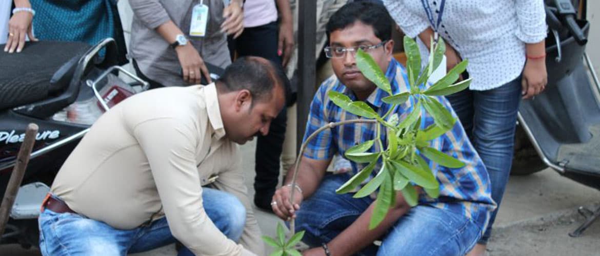 Tree Plantation in GSE