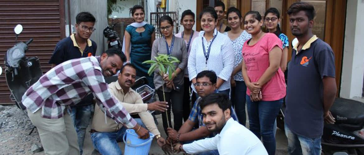 Tree Plantation in GSE